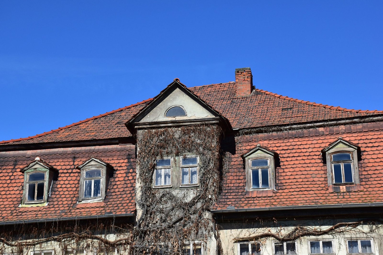 Repairing a Chimney with Damaged Brick: Signs You Need Chimney Repair 1 an old building with a tree growing out of it